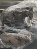 MECHILE远古动物模型仿真动物儿童玩具猛犸象长毛象恐狼剑齿虎犀牛邓氏鱼 大猛犸象（半空心） 实拍图