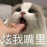 丽芝士（Richeese）印尼进口丽芝士威化饼干奶酪芝士夹心威化小包零食品 奶酪味56克10包 实拍图