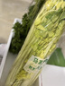 嗯嗯乐山东青岛特产正宗马家沟空心芹菜有机嫩芯大黄叶精品菜芯 有机 精品芹菜2斤礼盒装 实拍图