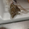 储山大别山糯米粽子甜粽蜜枣粽端午节粽子早餐手工美食 140g*10只豆沙粽 实拍图