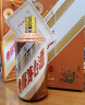 茅台（MOUTAI）生肖纪念 甲辰龙年 酱香型白酒 53度 1.5L 礼盒装 实拍图