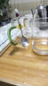 格娜斯（CRISTALGLASS）玻璃杯水杯套装家用客厅带把杯子泡绿茶杯耐热牛奶杯家庭高颜值 六色款400ml+金色杯架+四方水壶 实拍图