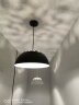 艺标loft复古工业北欧吊灯酒吧餐厅灯具简约艺术创意单头铁艺吧台吊灯 黑色直径35cm-LED12瓦暖光球泡 晒单实拍图