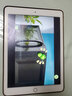 Apple 苹果iPad Air4WIFI版 二手平板电脑 32GB 9.7英寸屏学生学习 95新 Ipad 2022 256G 实拍图
