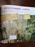 童眼识天下：奇妙植物（升级版） 实拍图