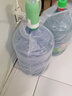 欧乐多（Olodo） 德国桶装水抽水器双泵压水器电动上水器抽水泵抽水机纯净取水器 绿色【单泵款】304钢管 实拍图