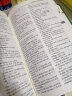 实用越汉汉越词典/东南亚国家语言辞书系列 实拍图