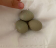 新伟达 孵化器全自动孵蛋器家用小型孵化机小鸡孵化箱芦丁鸡鸭鹅孵蛋机 9枚全自动【蛋盘间距可调节】 实拍图