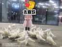戴维贝拉（DAVE＆BELLA）女童连衣裙儿童裙子春秋小童宝宝公主裙 实拍图