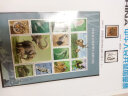 1999至2020年北方普通册系列 2000年邮票年册北方集邮册 实拍图