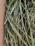 DR BUNNY兔子干草提摩西草提草 紫花苜蓿草 精品烘干牧草小麦草宠物兔子草 25年精品烘干提摩西草净重500克 实拍图