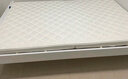 埃迪·蒙托高密度椰棕 硬榻榻米床垫 高箱床垫 黄麻棕榈床垫 折叠定制做拆洗 针织面料8CM【舒适透气】 1.5*1.9米 实拍图