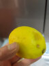 华味仙四川安岳黄柠檬 莫吉托 当季时令新鲜水果 5斤（独立花袋装） 实拍图
