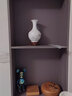 陶之念 景德镇陶瓷器花瓶插花器家居饰品台面摆件客厅餐厅装饰工艺品摆设（单个） 雪景 带底座 实拍图