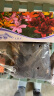 虹越（HONGYUE）2024进口春季百合种球3球装 盆栽地栽易养百合花卉裸球 LA百合 心弦（14/16） 实拍图