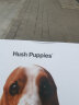 暇步士（Hush Puppies）钥匙包男高端植鞣皮车钥匙包真皮卡包钱夹休闲证件包 黑色 礼盒装 实拍图