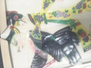 万泉 动感皮影戏材料包皮影人偶道具亲子手工制作diy儿童玩具 状元和公主 实拍图
