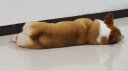朗仕 品牌狗粮金毛泰迪阿拉斯加德牧比熊小型犬中大型犬通用型 鲜肉成犬15kg 晒单实拍图
