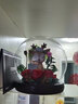 AMYROSE永生花一鹿有你玫瑰花礼盒214情人节礼物生日送女友爱人闺蜜 一鹿有你-红色 实拍图