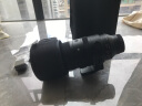 适马（SIGMA）150-600mm F5-6.3 DG DN OS ｜Sports 全画幅无反 超远摄变焦镜头  打鸟拍荷花（L卡口） 实拍图