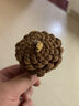 荣花施 松果装饰手工diy材料包幼儿园儿童环创干花干果圣诞挂件场景布置 干果干花材料盒【随机1盒装】 实拍图