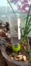 南水灌溉滴水器渗水家用半自动浇花器定时可调节流速滴灌懒人种菜浇水神器 滴水器8个装（2.1/个） 实拍图