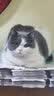 皇家猫粮猫咪泌尿系统尿道结石膀胱炎情绪舒缓LP34猫泌尿道处方粮 皇家 猫泌尿道处方粮6KG 实拍图
