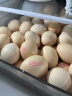德青源虎年大吉 A+级鲜鸡蛋48枚2.1kg 自有农场 无抗生素 健康轻食 营养早餐 礼盒装 实拍图