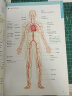 3D人体解剖图 200个精密3D图例 全彩解剖学图谱医学人体生理学人体解剖彩色学图谱局部解剖学人体解剖学 晒单实拍图