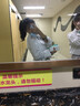 萝美酱jk制服夏季全套女生短裙学院风春秋JK裙百褶裙裙子半身裙套装显瘦 柠檬格裙+长袖衬衫+领结 M 【建议95-105斤】 实拍图