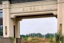 开时果 多肉植物仙人球仙人掌小盆栽桌面植物 肉肉组合办公室内绿植花卉 万重山+玉露+金枝+招财手+金冠 实拍图