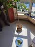 花财主天堂鸟盆栽办公室大型绿植客厅鸭脚木植物家用吸甲醛净化空气好养 柠檬树1.6-1.8m【编织盆】 实拍图