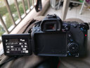 佳能/Canon 60D 70D 80D 77D 90D 二手单反相机 半画幅中端级数码相机 80D 单机 9新 实拍图