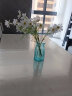 盛世泰堡 北欧玻璃花瓶插花瓶水培植物容器花瓶客厅桌面装饰摆件蓝色18cm 实拍图