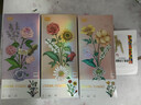 俐智（Loz）花束组装小颗粒积木玩具向日葵百合花花瓶玫瑰菊花装饰品鲜花DIY 第一季套装(1个深粉花瓶) 实拍图