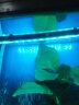 云峰海瑞 LED龙鱼缸灯水陆两用水中水草灯水族箱LED鱼缸灯具防水灯 24键遥控+手控变色28CM 实拍图