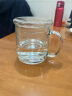 乐美雅 钢化玻璃杯泡茶杯牛奶杯微波炉水杯家用带把耐热茶杯早餐麦片杯 诺卡+透明玻璃盖 380ml 1只 实拍图