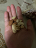 三只松鼠每日坚果纯坚果750g 孕妇坚果零食礼包礼盒开心果核桃腰果混发 实拍图