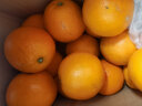 京鲜生 重庆奉节脐橙 3kg装 单果180g起 生鲜水果 年货礼盒  实拍图