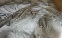 海澜之家（HLA）7A抗菌宿舍被子冬天棉被春秋被子被芯冬被超柔磨毛面料大豆纤维被 【7A抑菌 抗菌舒适】纯色-浅灰 【厚冬被】220*240cm/约9.5斤 实拍图