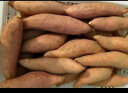千味央厨 香芋地瓜丸 400g（每袋20个）饭后甜点 糯米芋头 儿童学生零食 实拍图