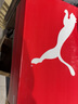 彪马（PUMA）板鞋男鞋女鞋 25夏季新款运动鞋情侣小白鞋鞋子平底低帮休闲鞋男 【主推经典款】彪马白-金色/晒图退10【元】 42 270mm/8 实拍图