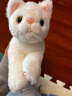 龙猫泰迪小猫抱枕猫咪玩偶布娃娃可爱仿真猫公仔毛绒玩具儿童女生安抚礼品 白色猫 53 晒单实拍图