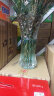 法兰晶 花瓶装饰干花花束插花瓶餐桌花瓶大花瓶水培花瓶 玻璃 透明 龙珠花纹 【高度30cm】 实拍图
