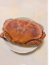【爱尔兰进口】 渔游记 黄金面包蟹满黄 爱尔兰超大鲜活熟冻螃蟹 400-600g/中号1只 实拍图