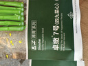 寿禾 四九菜心种子苗四季种青菜苔蔬菜籽 潍育卓嫩7号四九菜心种子50g 实拍图