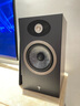 FOCAL the spirit of sound 法国劲浪 世华THEVA N1 音响家庭影院无源音箱家用hifi发烧书架音箱音响2分频 须配功放 黑色 实拍图