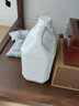 佳叶（JIAYE）食品级手提方桶样品桶塑料壶工业用水桶胶桶废液桶酒壶塑料油桶 2L-乳白色 实拍图