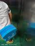 李宁浮板儿童成人游泳A漂浮板初学者大人教学游泳装备浮漂神器打水板 蓝色浮板套装【A字板+小号背漂】 通用 实拍图