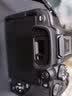 佳能（Canon）R10微单相机  4K数码高清入门级家用旅游vlog视频拍摄 r10小型专业照相机 R10+18-45套机+50/1.8【人像双镜头】 套餐二【升级专业UV镜~定制三脚架~摄影反光板 实拍图